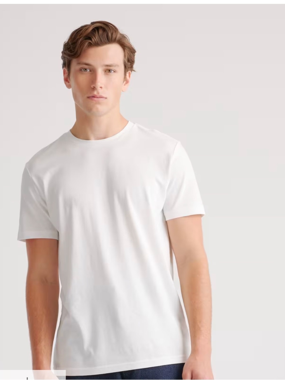 Quince Mens Cotton Modal Crew Neck Tee NEW
